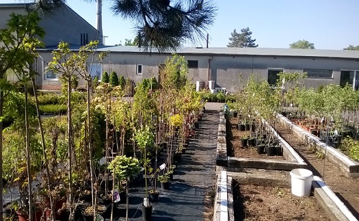 Kvalitní zahradnické služby - realizace zahrad na míru Opava