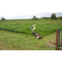 Údržba zahrad - odplevelení trávníků, postřik proti plevelům