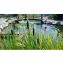 Vodní prvky na Vaší zahradu - koupací a okrasná jezírka, kaskády, vodotrysky