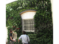 Zelená stěna greenwall – luxusní dominanta pro Váš interiér