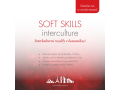Speciální jazykové intenzivní kurzy SIK, Soft Skills pro klíčové zaměstnance
