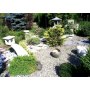 Realizace, návrhy a projektování zahrad na míru - kvalitní zahradnické služby, odborná péče o zeleň