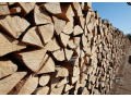 Palivové a krbové dřevo na prodej - velkoobchod, který udělá vše pro teplo vašeho domova