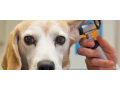 Veterinář pro Zlínsko - veškerá veterinární péče