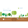 Pôdny kondicionér pre výsadbu stromov a kríkov a zlepšenie ich aklimatizácie po zasadení, Česká republika