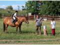 Farma s rodinnou tradicí se zaměřením na chov koní a aktivitami s nimi spojenými