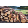 Těžba a přibližování dřeva technologií UKT a LKT Klatovy, ruční a strojová těžba dřeva po celé ČR