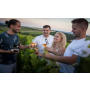 Skupinové akce, oslavy a firemní teambuildingy ve vinohradě s bohatým doprovodným programem