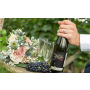 Degustace vín ve vinném sklepě s procházkou ve vinici – ideální zážitek pro milovníky vína