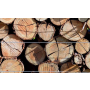 Těžba dřeva Sokolov – kvalitní řezivo na míru za výhodné ceny