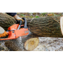 Kácení stromů, výškové práce Žďár nad Sázavou – profesionální služby za příjemnou cenu