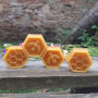 Domácí výroba voskových svíček ze 100% včelího vosku - zábavné tvoření nejen pro děti