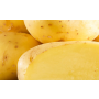Sadbové brambory rané, polorané, pozdní - výsadba vlastních brambor