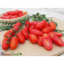 Šlechtění zeleninových osiv – saláty, ředkvičky, rajčata i papriky pro pěstování v českých podmínkách