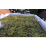 Zelená, vegetační střecha včetně hydroizolace vytváří příjemné prostředí a pomáhá k úspoře energie
