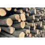 Tvrdé dubové dříví připravené k okamžitému odběru a zpracování – kvalitní palivové dřevo