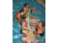 Letní, prázdninová plavecká školka pro kojence, předškoláky
