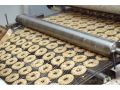 Production lines for manufacturing of gingerbread and biscuits will make your work easier, the Czech Republic