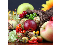 Podzimní zahradnické trhy Flora - Vše podstatné pro zahrádkáře, pěstitele a chalupáře