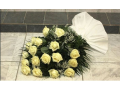Bestattungszeremonien Litomerice, Leitmeritz, für würdevollen Abschied von Verstorbenen, Tschechische Republik
