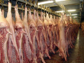 Čerstvé vepřové maso, masné výrobky a vepřové půlky z jatek