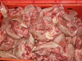 Bravčové mäso priamo z bitúnka - jatočné opracovanie ošípaných, kvalita a čerstvosť