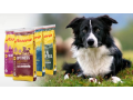 Internetový prodej, e-shop krmiv pro psy a kočky německé značky JOSERA