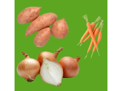 Prodej a distribuce zeleninových polotovarů - celer, cibule, mrkev, červená řepa, petržel
