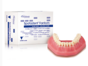 Stomatologické nekovové dentální materiály vysoké kvality pro zubní lékaře i laboratoře