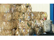 Systémy zpětného odběru a využití odpadů z obalů v členských státech EU - principy fungování