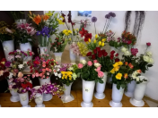 Květinářství, řezané květiny a vazba květin -  čerstvé rostlinky a profesionální služby
