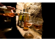 Vinohrady a vinice s historií a tradicí – ochutnávky pro skupiny i jednotlivce