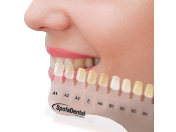 Výroba dentálních materiálů Jičín -  kompletní řešení pro zubní lékaře a laboratoře