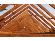 Impregnace dřeva – účinná ochrana střešních krovů před škůdci