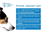 Povinné čipování psů - označení psů mikročipem nepřináší žádná zdravotní rizika