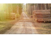 Lesnická činnost, těžba a přibližování dřeva, lesní hospodářství