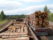 Vnitrostátní a mezinárodní přeprava dřeva, logistika pro široký dřevařský průmysl