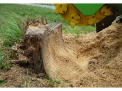 Likvidace, frézování pařezů - sešrotování dřeva po kácení stromů pařezovou frézou