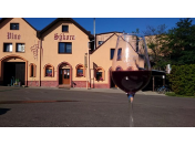 Agroturistika – exkurze do vinic s odborným výkladem o víně i s řízenou degustací