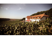 Rodinné vinařství jižní Morava