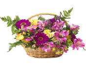 Květinářství, řezané květiny, dárkové předměty, sezónní sadba, dušičková vazba, adventní svícny, hnojiva, postřiky