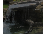 Vodní prvky na zahradu – okrasné nebo koupací zahradní jezírka, přírodní biotopy Lednice