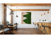 Interiérové studio – návrhy interiérů na míru s mechovým uměním