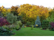 Zahradnické práce, projekce a realizace zahrad, terénní úpravy, závlahové systémy