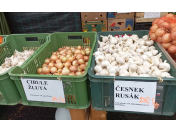 Výsadbový česnek, cibule, hrušky, jablka na uskladnění, zelenina na prodej z letošní sklizně