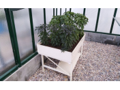 Vybavení pro zahradu Litomyšl – praktické produkty pro pěstování a zahradničení