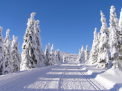 Máme stále volná místa! - Jarní prázdniny na Viktorce v Peci pod Sněžkou: termín od 12.března 2023 do 19.března 2023