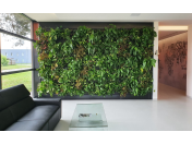 Realizace a instalace zelené stěny z živých rostlin - vertikální zahrada do interiéru bytu, kanceláře