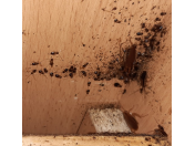 Dezinsekce a hubení švábů – odstranění a důsledná likvidace lezoucího a létajícího hmyzu