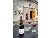 Degustace odrůdových vín z BIO hroznů s prohlídkou vinařství a ukázkou technologie výroby vína